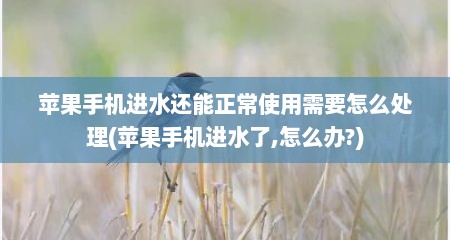苹果手机进水还能正常使用需要怎么处理(苹果手机进水了,怎么办?)