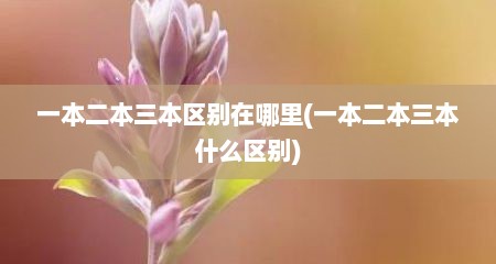 一本二本三本区别在哪里(一本二本三本什么区别)
