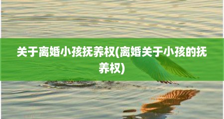 关于离婚小孩抚养权(离婚关于小孩的抚养权)