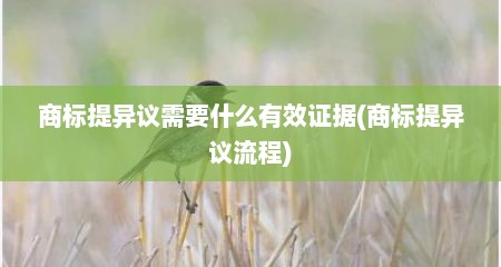 商标提异议需要什么有效证据(商标提异议流程)