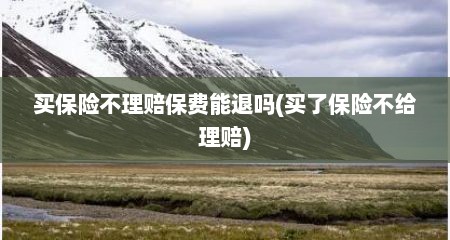 买保险不理赔保费能退吗(买了保险不给理赔)