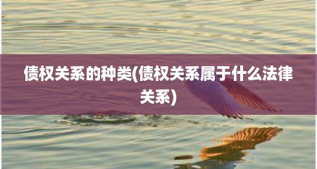 债权关系的种类(债权关系属于什么法律关系)