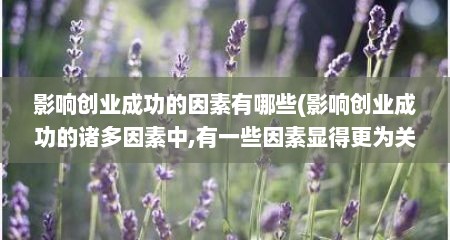 影响创业成功的因素有哪些(影响创业成功的诸多因素中,有一些因素显得更为关键)