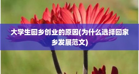 大学生回乡创业的原因(为什么选择回家乡发展范文)