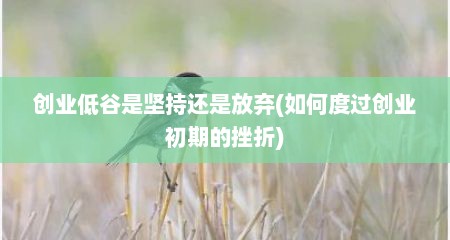 创业低谷是坚持还是放弃(如何度过创业初期的挫折)