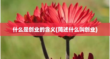 什么是创业的含义(简述什么叫创业)