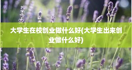 大学生在校创业做什么好(大学生出来创业做什么好)