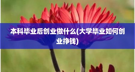 本科毕业后创业做什么(大学毕业如何创业挣钱)