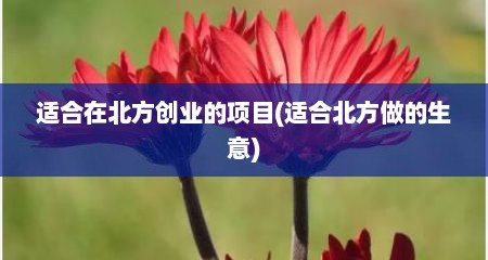 适合在北方创业的项目(适合北方做的生意)