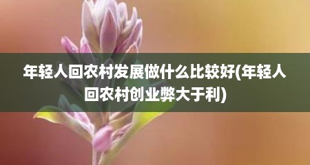 年轻人回农村发展做什么比较好(年轻人回农村创业弊大于利)