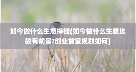 如今做什么生意挣钱(如今做什么生意比较有前景?创业前景规划如何)