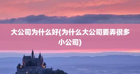 大公司为什么好(为什么大公司要弄很多小公司)