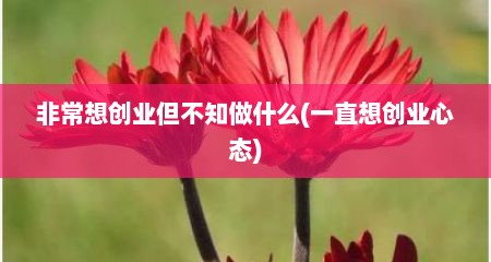 非常想创业但不知做什么(一直想创业心态)