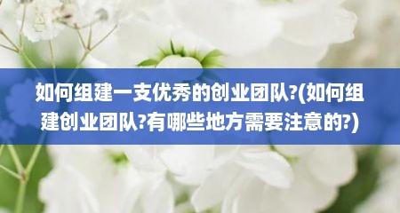 如何组建一支优秀的创业团队?(如何组建创业团队?有哪些地方需要注意的?)