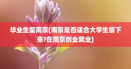 毕业生留南京(南京是否适合大学生留下来?在南京创业就业)