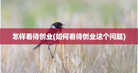 怎样看待创业(如何看待创业这个问题)