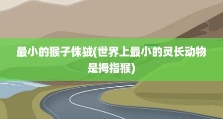 最小的猴子侏狨(世界上最小的灵长动物是拇指猴)
