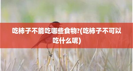 吃柿子不能吃哪些食物?(吃柿子不可以吃什么呢)