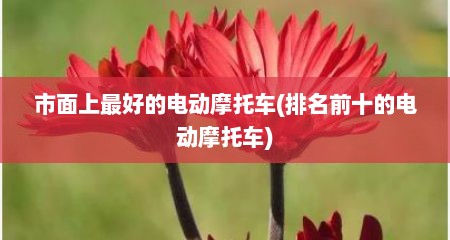 市面上最好的电动摩托车(排名前十的电动摩托车)
