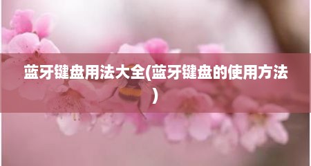 蓝牙键盘用法大全(蓝牙键盘的使用方法)