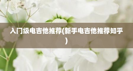 入门级电吉他推荐(新手电吉他推荐知乎)