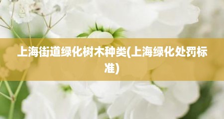 上海街道绿化树木种类(上海绿化处罚标准)