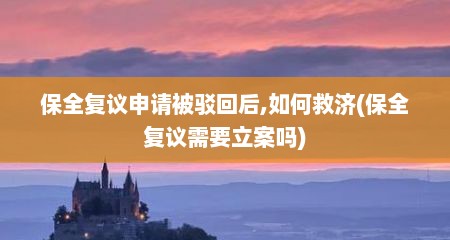 保全复议申请被驳回后,如何救济(保全复议需要立案吗)