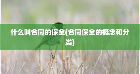 什么叫合同的保全(合同保全的概念和分类)