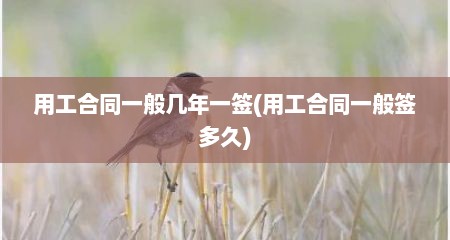 用工合同一般几年一签(用工合同一般签多久)
