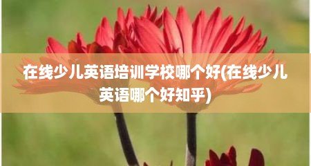 在线少儿英语培训学校哪个好(在线少儿英语哪个好知乎)