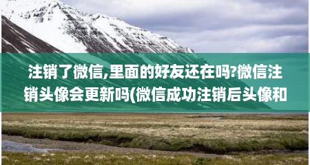 注销了微信,里面的好友还在吗?微信注销头像会更新吗(微信成功注销后头像和微信号会变成什么样子)