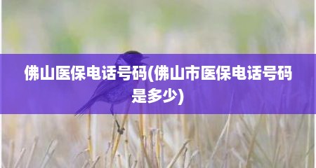 佛山医保电话号码(佛山市医保电话号码是多少)