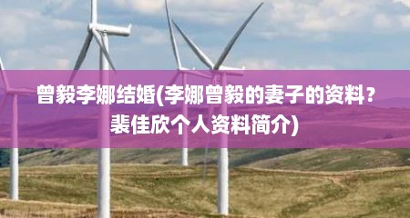 曾毅李娜结婚(李娜曾毅的妻子的资料？裴佳欣个人资料简介)