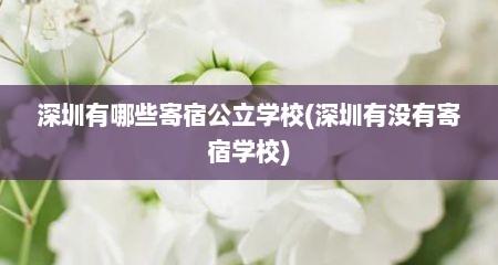 深圳有哪些寄宿公立学校(深圳有没有寄宿学校)