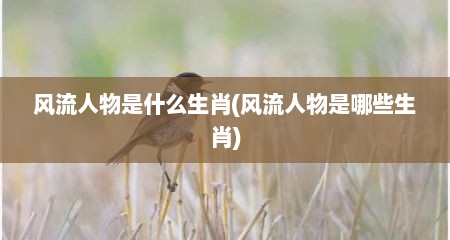 风流人物是什么生肖(风流人物是哪些生肖)