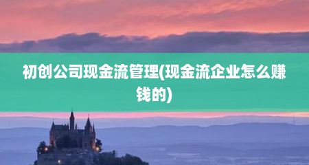 初创公司现金流管理(现金流企业怎么赚钱的)