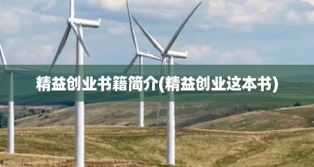 精益创业书籍简介(精益创业这本书)