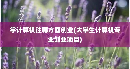 学计算机往哪方面创业(大学生计算机专业创业项目)