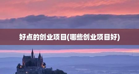 好点的创业项目(哪些创业项目好)