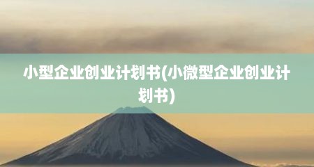 小型企业创业计划书(小微型企业创业计划书)