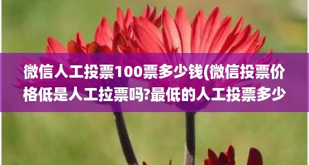 微信人工投票100票多少钱(微信投票价格低是人工拉票吗?最低的人工投票多少钱?)
