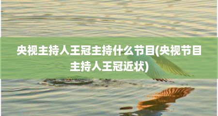 央视主持人王冠主持什么节目(央视节目主持人王冠近状)