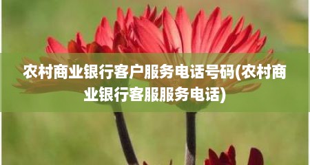 农村商业银行客户服务电话号码(农村商业银行客服服务电话)