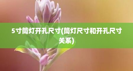 5寸筒灯开孔尺寸(筒灯尺寸和开孔尺寸关系)
