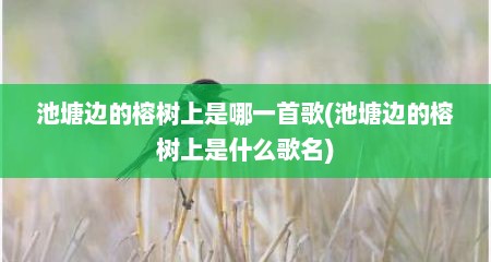 池塘边的榕树上是哪一首歌(池塘边的榕树上是什么歌名)