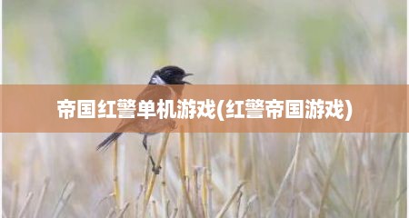 帝国红警单机游戏(红警帝国游戏)
