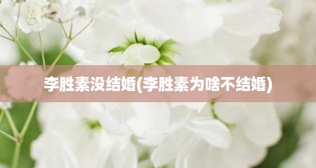 李胜素没结婚(李胜素为啥不结婚)
