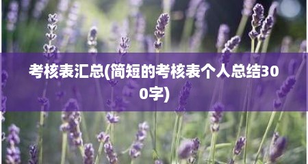 考核表汇总(简短的考核表个人总结300字)
