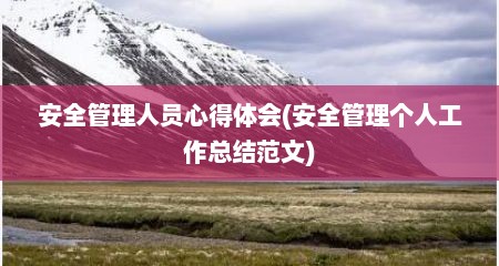 安全管理人员心得体会(安全管理个人工作总结范文)