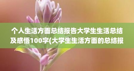 个人生活方面总结报告大学生生活总结及感悟100字(大学生生活方面的总结报告)
